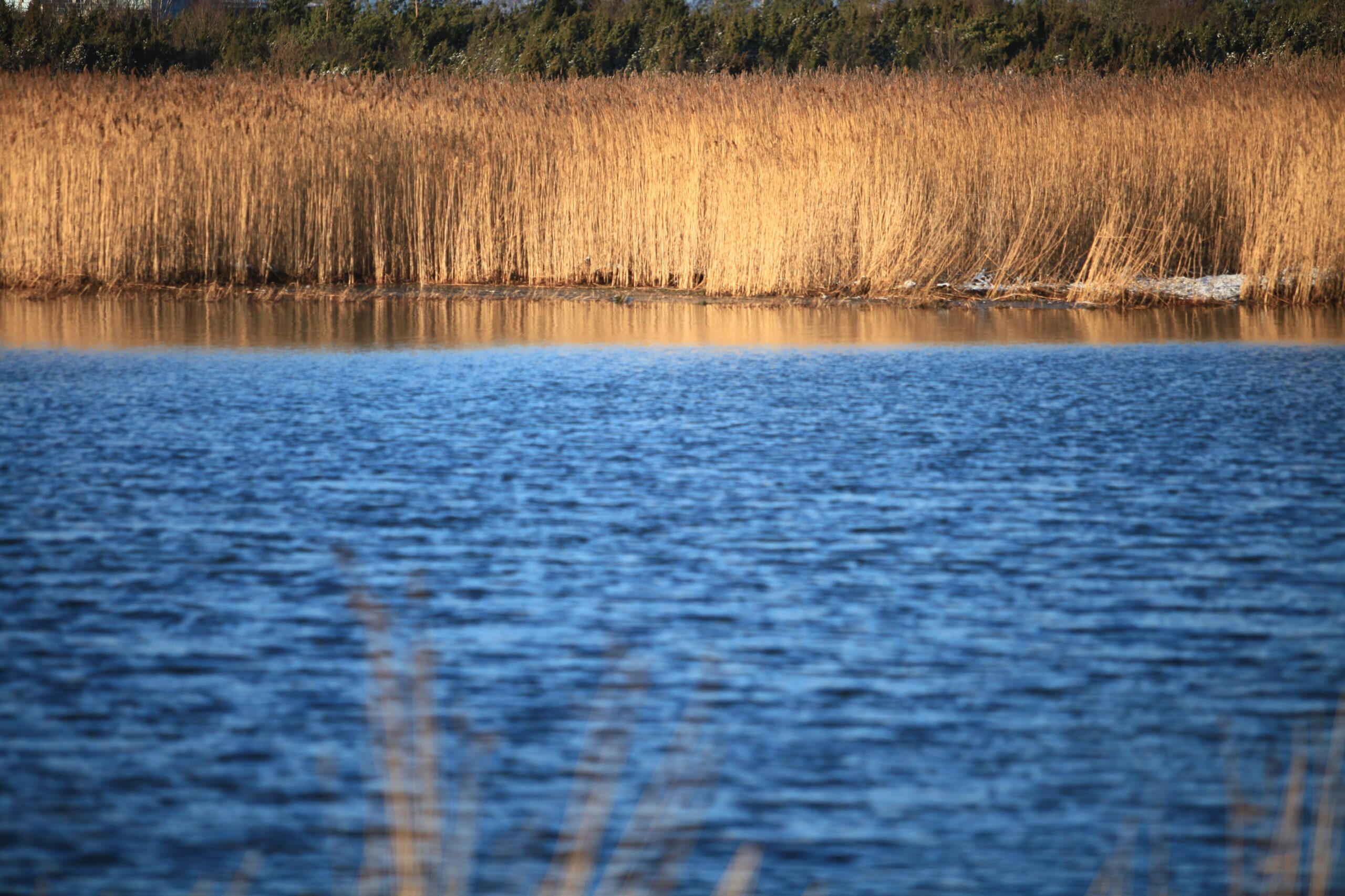 Foto: Margit Kõrvits