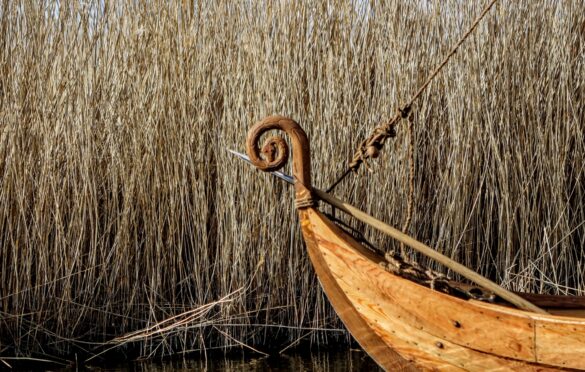 Photo: Margit Kõrvits
